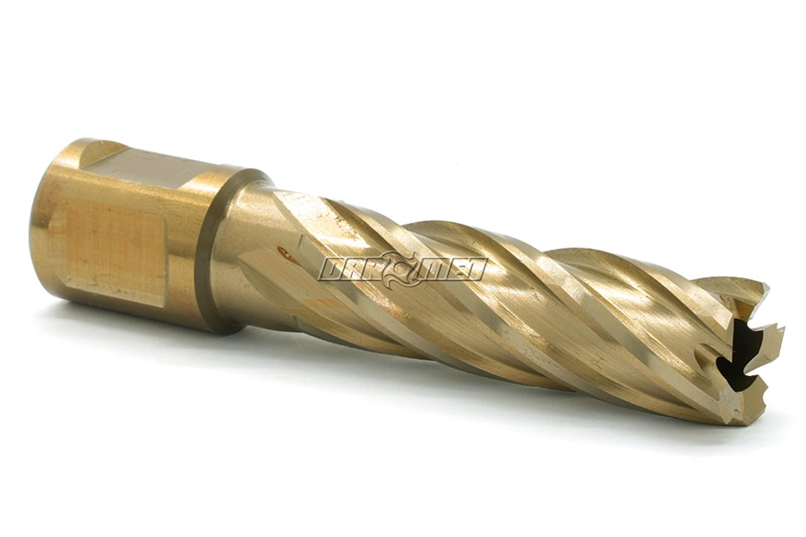 Wiertło koronowe z chwytem Weldon 3/4" | Gold-Line - 20 x 55 mm - KARNASCH (20.1270U)