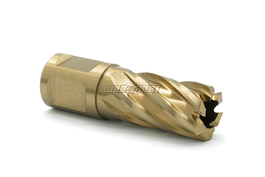 Wiertło koronowe z chwytem Weldon 3/4" | Gold-Line - 17,5 x 30 mm - KARNASCH (20.1260U)